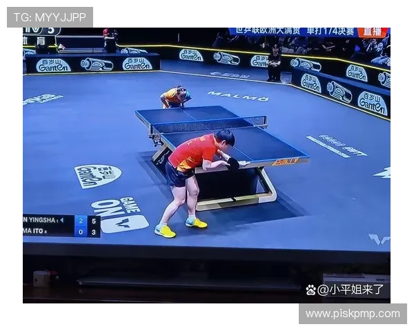 北京乒乓球队的阵容调整与战术变化带来的机遇与挑战分析