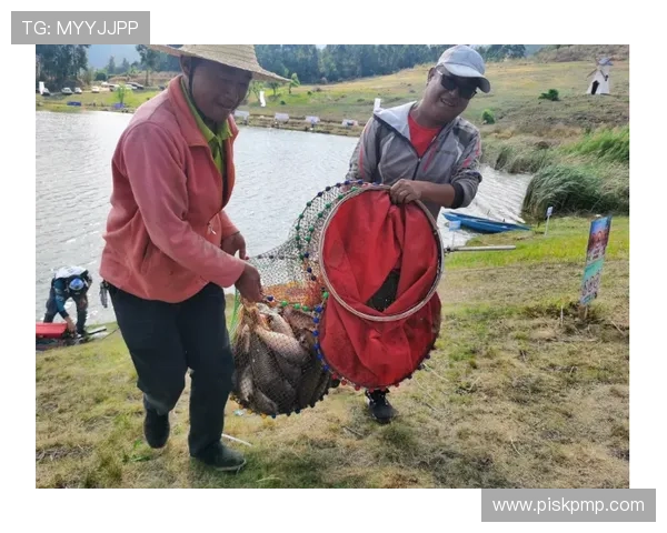 北京乒乓球队逆袭之路精英赛特别报道展现奋斗精神与团队力量 北京乒乓球队逆袭之路精英赛特别报道展现奋斗精神与团队力量