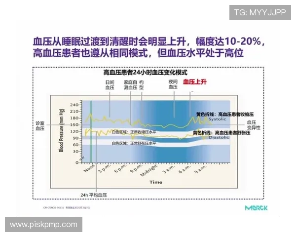 北京乒乓球队防守策略解析与战术创新探讨 北京乒乓球队防守策略解析与战术创新探讨