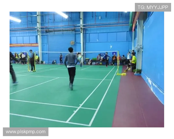 赛后分析:北京羽毛球队与杭州羽毛球队的战术意识与团队配合探讨