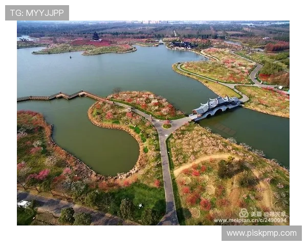 足球明星菲罗的精彩瞬间与魅力风采全景展示 足球明星菲罗的精彩瞬间与魅力风采全景展示